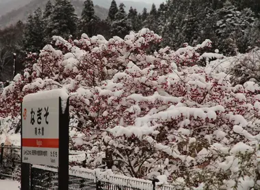 Gare JR de Nagiso sur la ligne Chûô