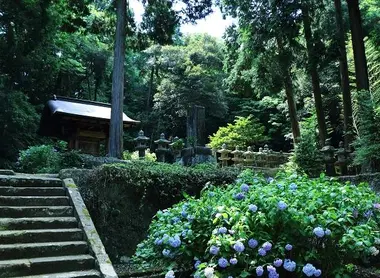 gessho-ji-fortensias gessho-ji-fortensias