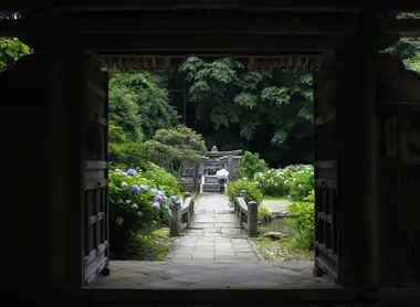 tombe-naomasa-hortensias tombe-naomasa-hortensias