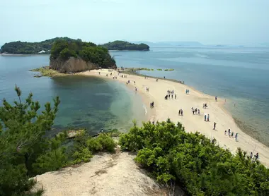 Shodoshima's "Angel Road"