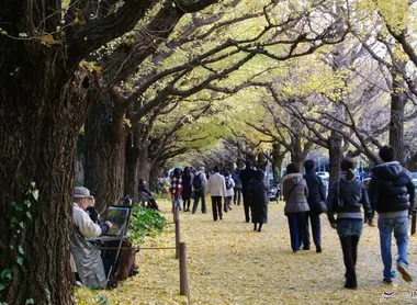 Le jardin Meiji jingu à Tokyo Le jardin Meiji jingu à Tokyo