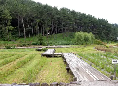 Vue depuis le musée Ken Domon