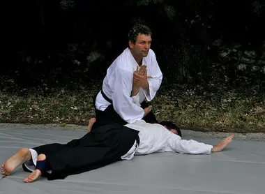 Aikido immobilisation Flickr - Darij & Ana