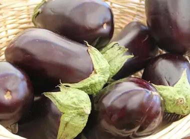 aubergines aubergines