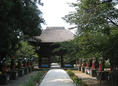 morinji-tatebayashi morinji-tatebayashi