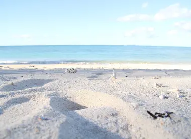 Plage de sable blanc Plage de sable blanc