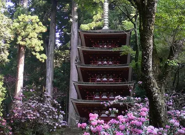 La pagode Muro-ji entourée de rhododendrons en fleurs.