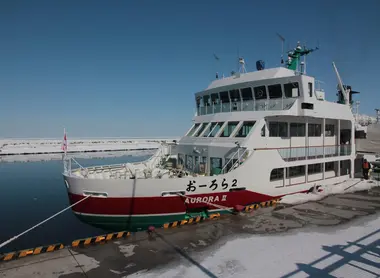 Bateau brise-glace Aurora II