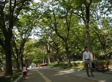 Les allées ombragées du parc Utsubo, en plein coeur d'Osaka.