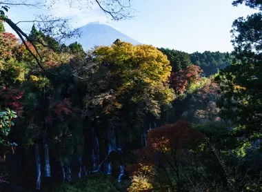 fuji_shiraito fuji_shiraito