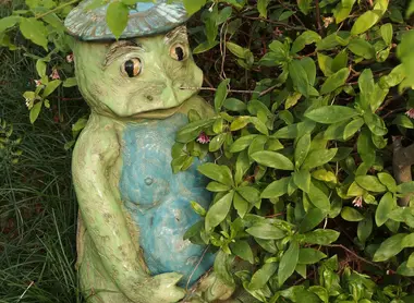 Sôgen-ji, le temple des kappa, Tokyo