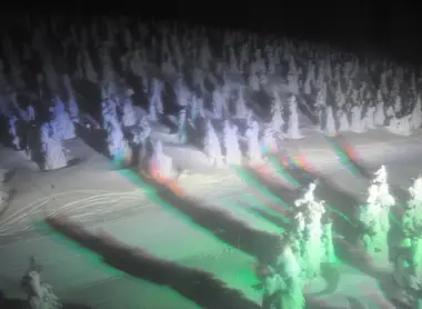 Les monstres des neiges illuminés