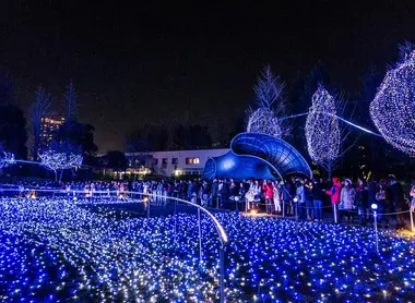 Les illuminations à Tokyo Midtown