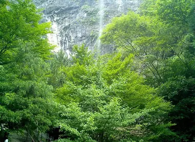Nature autour de Kamikatsu