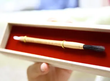 Pinceau fait avec les cheveux d'un bébé