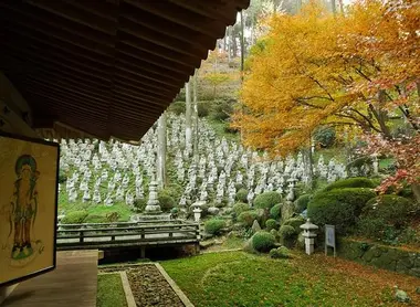 100 Buddhas 100 Buddhas