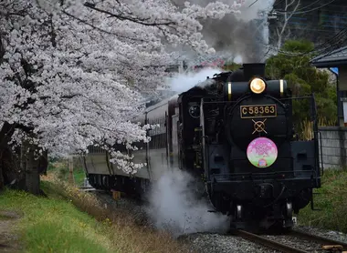 Le Paleo Express de Chichibu