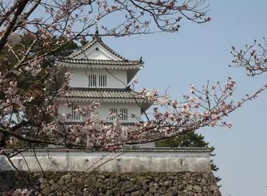 castle sakura castle sakura