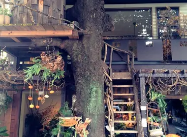 Les grands arbres, Hiroo Les grands arbres, Hiroo
