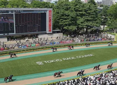 paddock-hippodrome-fuchu