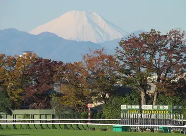 mont_fuji_hippodrome_fuchu