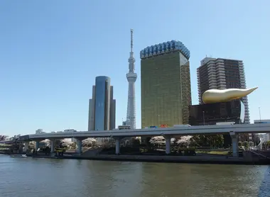 View of Skytree from Asakusa View of Skytree from Asakusa