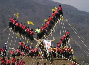 Les participants du Onbashira matsuri accrochés aux trois d'arbre