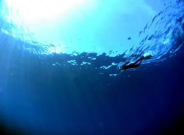 La plongée au Japon