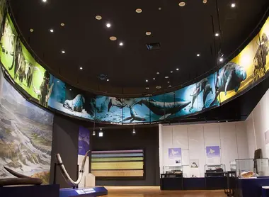 salle-hokkaido-museum