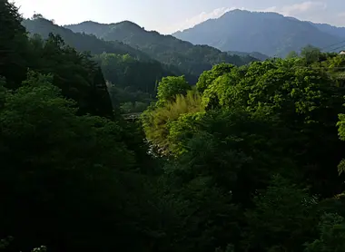 Foret Mizukizawa Tennenrin