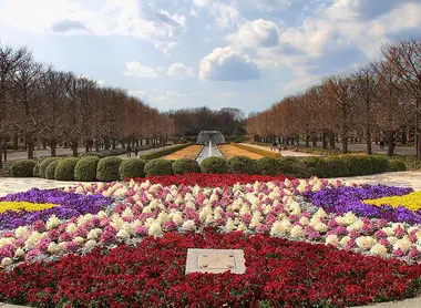 Showa Memorial Park Showa Memorial Park