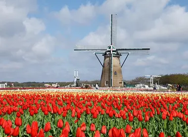 Sakura Furusato Square