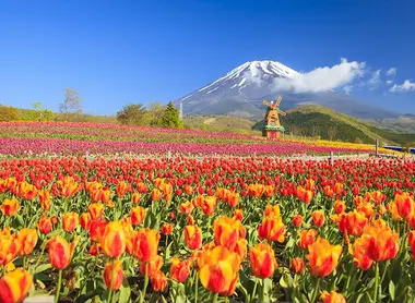 Grinpa Amusement Park