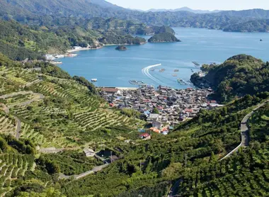 Terraced fields at Karihama