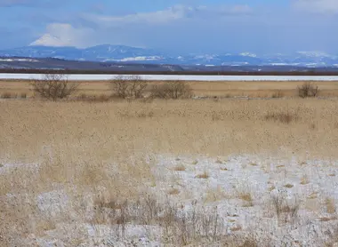 Kushiro Shitsugen en hiver