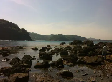 Baie isolée intacte Baie isolée intacte