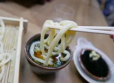 Nouilles udon froides Udon froides