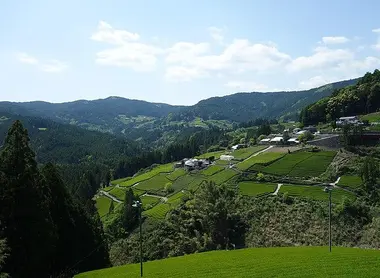 champs-the-kawanehoncho