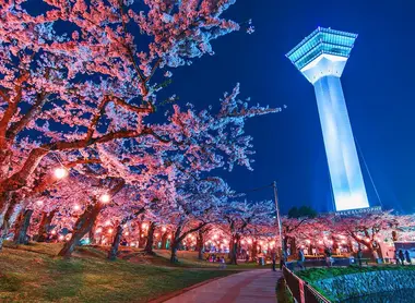 Le parc du fort de Goryokaku et la tour illuminés Le parc du fort de Goryokaku et la tour illuminés