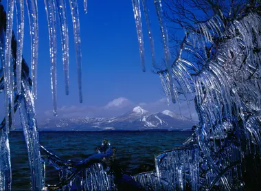 La glace colonise aussi bien la végétation que la roche