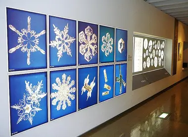 salle-musee-neige