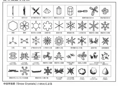 classification-nakaya