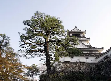 Le château de Kochi