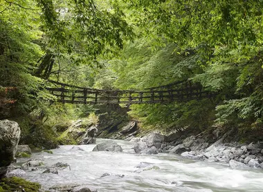 Le pont de liane d'Ikeda