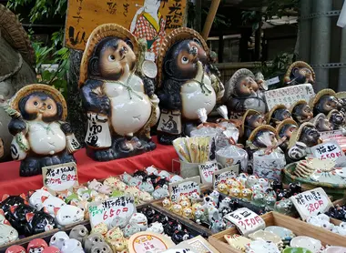 Les Tanuki porteraient chance à Chofu