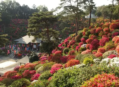 Shiofune Kannonji, Ome