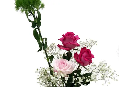 Ikebana Ikebana