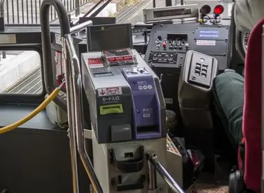 bus bus