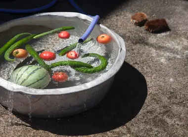 L'eau des sources est utilisée pour laver les fruits et légumes L'eau des sources est utilisée pour laver les fruits et légumes
