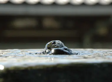 L'eau de source d'Ono L'eau de source d'Ono